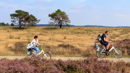 Hoge Veluwe Header