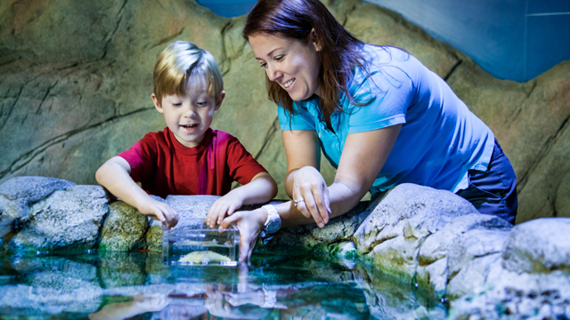 SEA LIFE Scheveningen Educatie